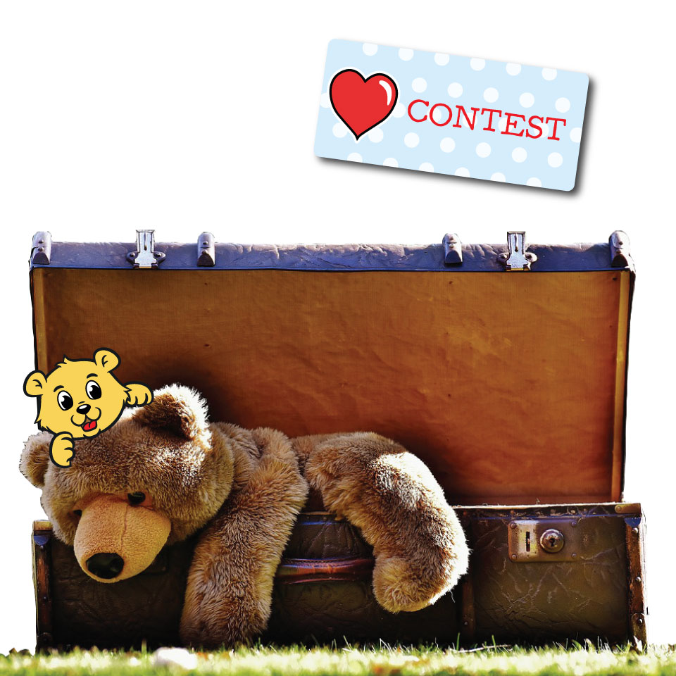 teddy-contest-image1