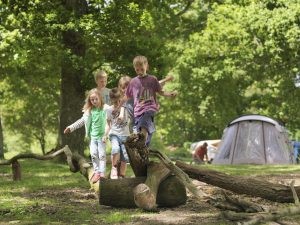 Campeggio estivo 2016: tantissime idee per tutta la famiglia!