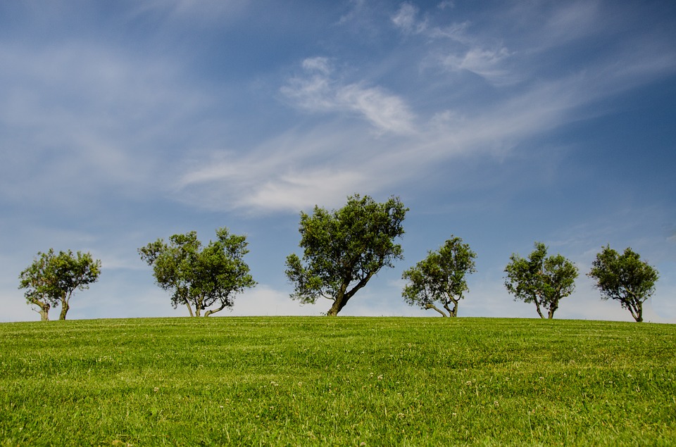 Le Nostre Credenziali Ecologiche