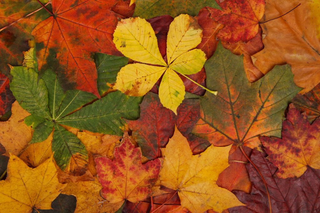 Uscite all’aria aperta questo autunno!